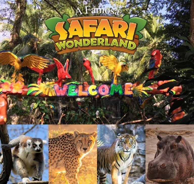 Afamosa Safari