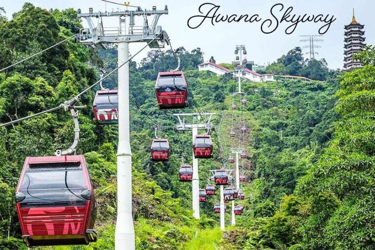 Awana Skyway