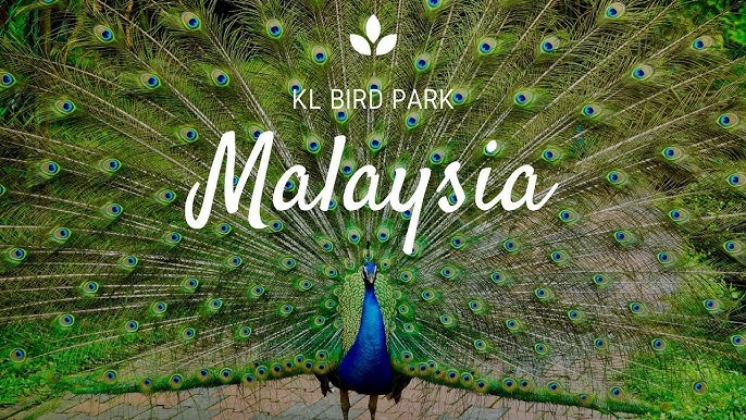 KL Bird Park